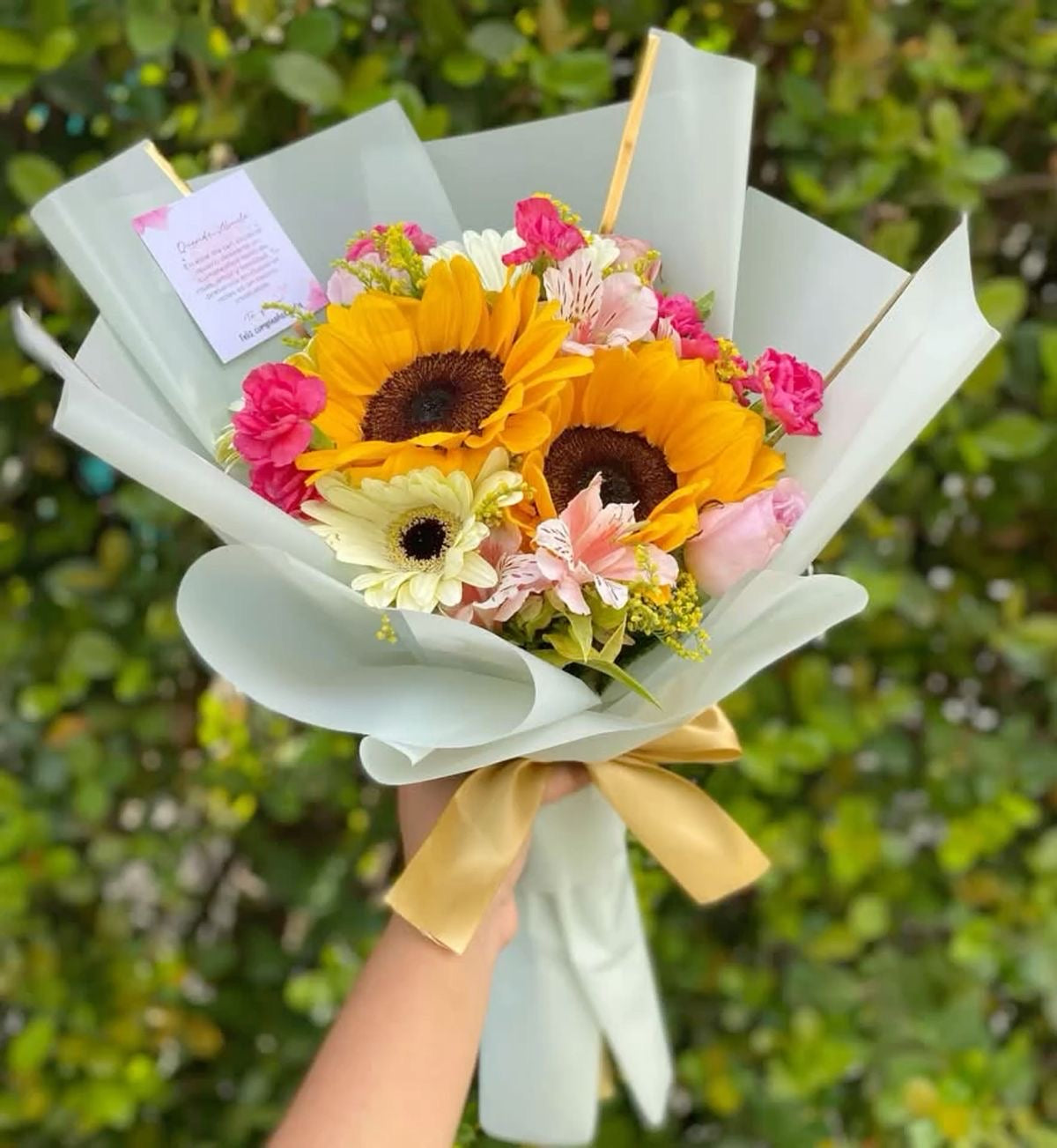 Eres mi primavera