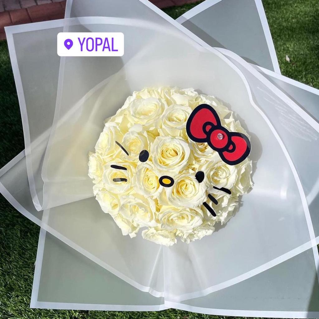 Kitty