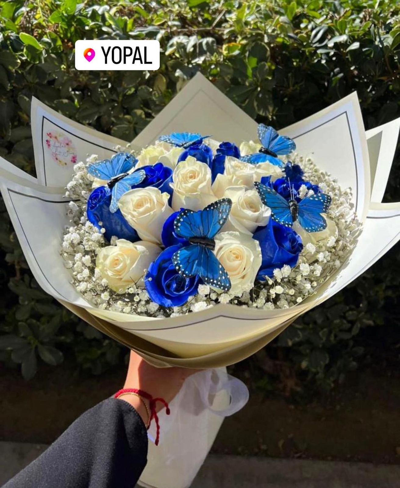 Blue x40 rosas