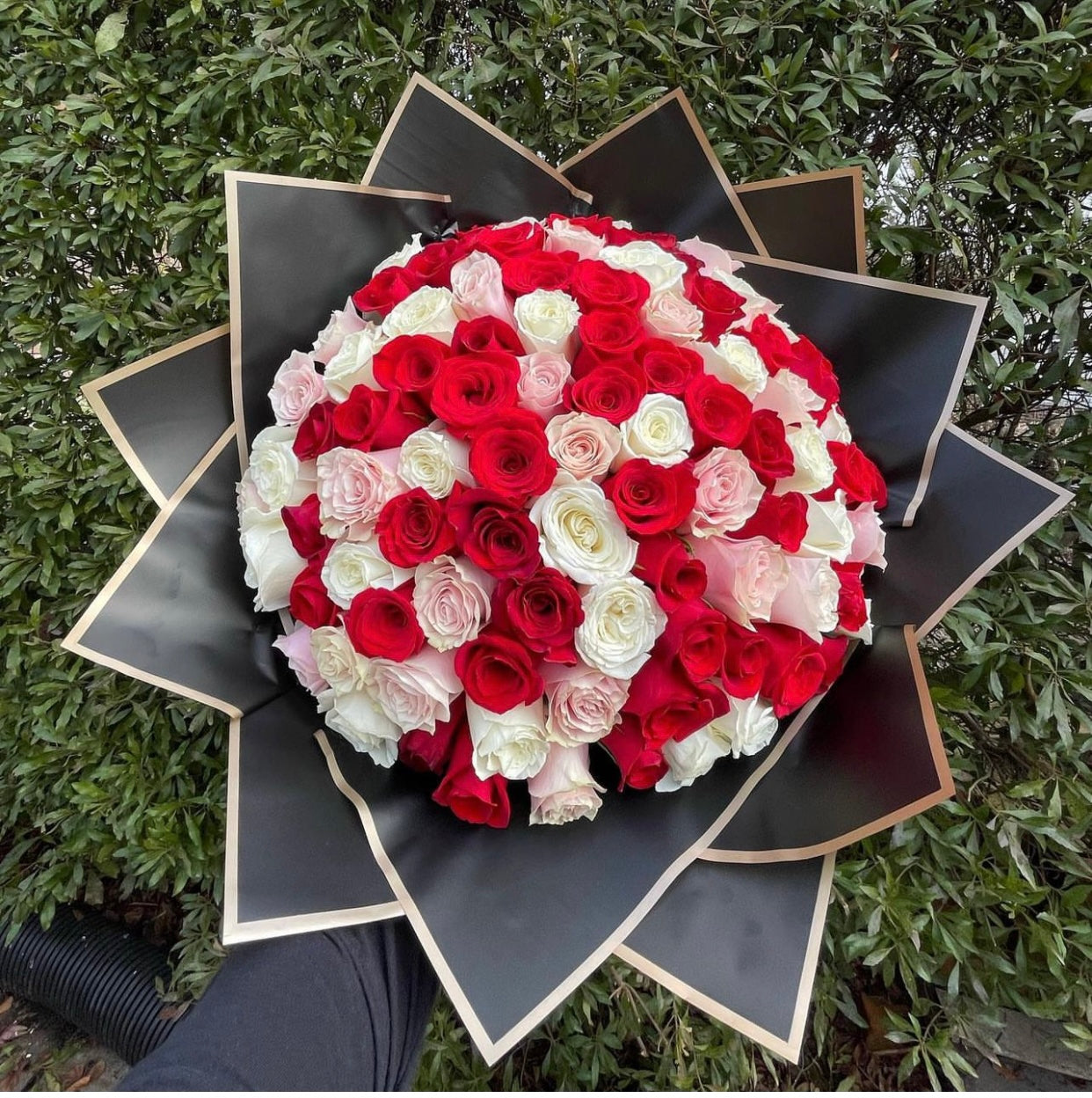 x150 Rosas
