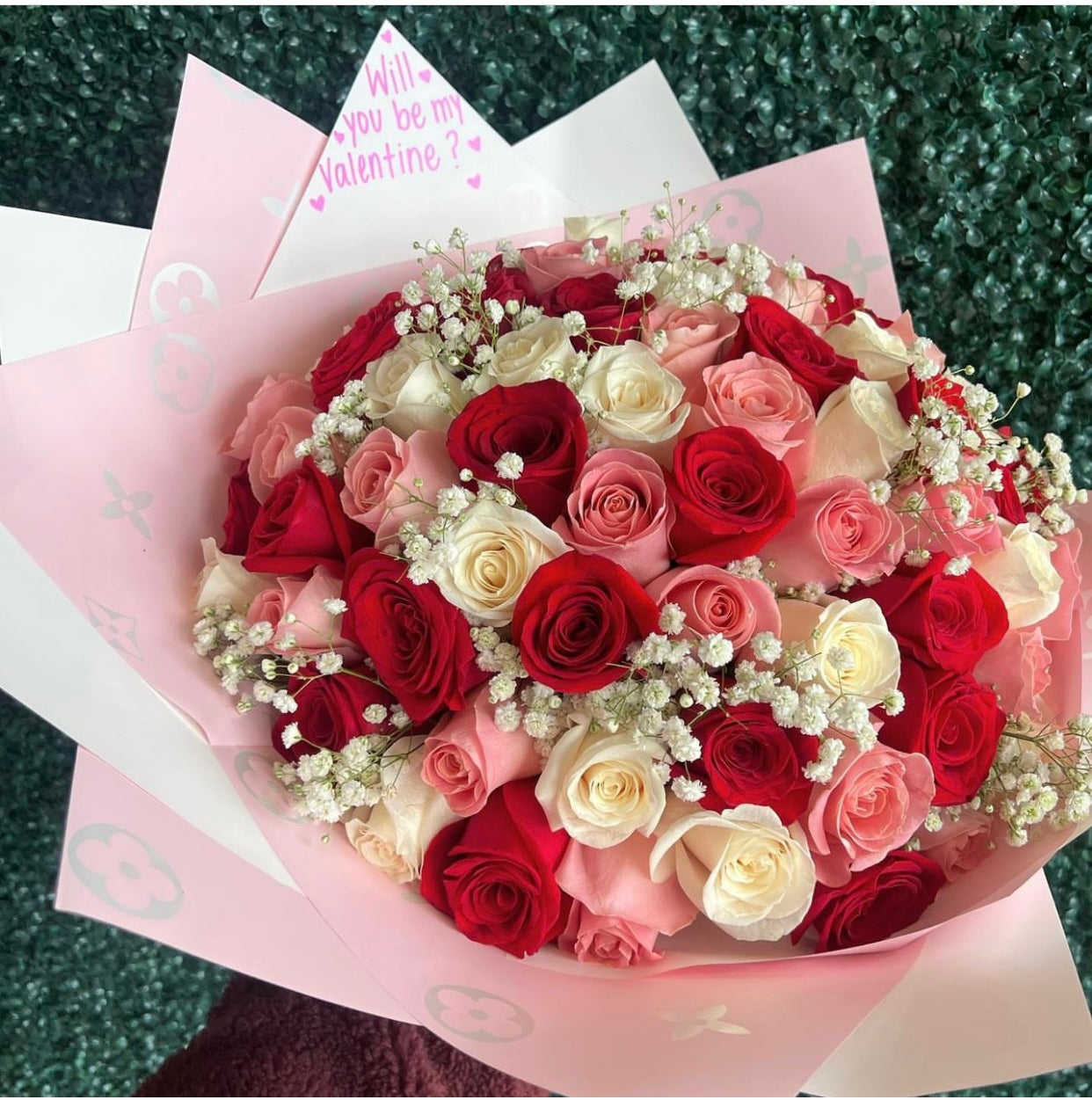 x100 Rosas