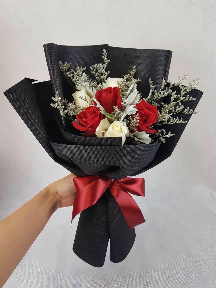 x6 Rosas
