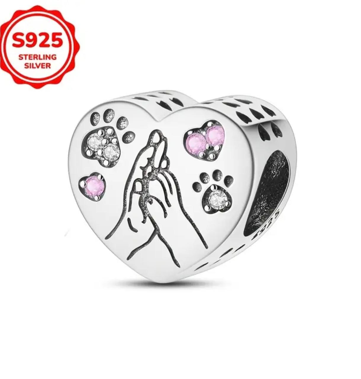 Charm lover dog