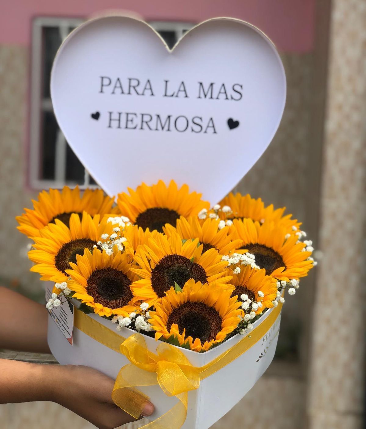 Rayito de amor